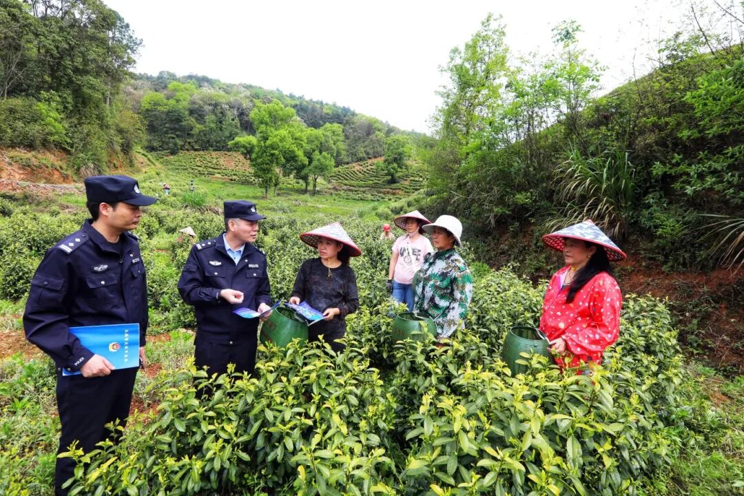激发产业新活力，绘就共治新图景 江西为乡村振兴注入澎湃公安动能 